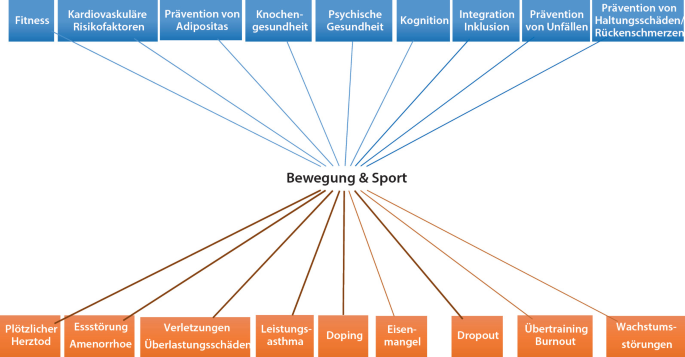 Du betrachtest gerade Der Einfluss von Sport auf die mentale Gesundheit